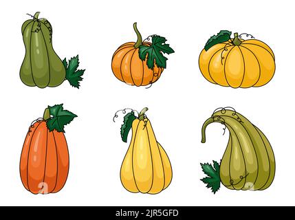 Cartoon Kürbisse, halloween Squash, Herbst Ernte Kürbisse. Kürbisse, Kürbis und Blätter Vektorsymbole Illustrationen. Herbstdankfest und halloween p Stock Vektor