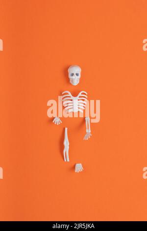 Skelettteile auf orangefarbenem Hintergrund isoliert. Minimalistisches abstraktes Halloween-Konzept. Draufsicht. Rechteck mit Kopierbereich Stockfoto