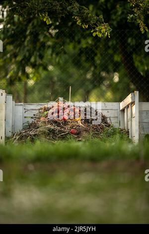 Lebensmittelabfälle in Kompostgrube im privaten Garten. Verrottet organische Abfälle für Kompost. Im Freien. Stockfoto