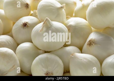 Frische rohe Perlzwiebeln schließen das ganze Bild als Hintergrund Stockfoto