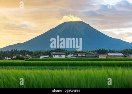 Am frühen Morgen leuchtet die Sonne Nebel auf dem Gipfel des Mt. Daisen in Tottori, Japan Stockfoto