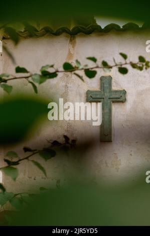 Cross Religion. Symbol. Verehrung. Kreuz auf abgenutzten Wand zwischen Vegetation, Pflanze aus dem Fokus und Fliesen auf der Oberseite, mexiko Stockfoto