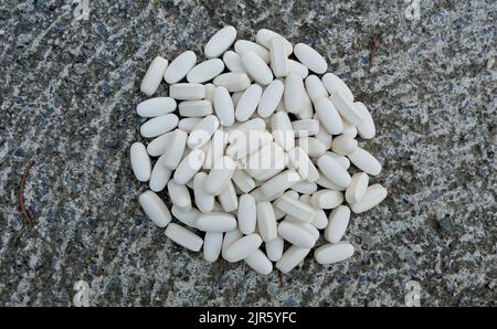 Abgelaufene Medizin, Gesundheitskonzept. Verschreibungspflichtige Medikamente auf einem konkreten Hintergrund. Stockfoto