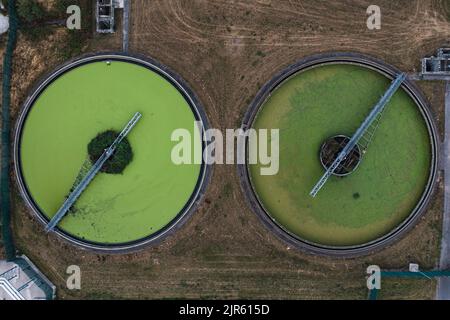 Eine Luftaufnahme direkt über einer Abwasseraufbereitung arbeitet mit kreisförmigen Lagertanks, die Abwasser mit Grünalgen für Trinkwasser filtern Stockfoto