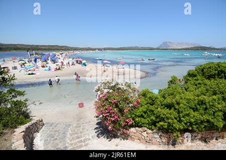 Das Spektakel der Insel Tavolara, die 565 Meter vom Meer entfernt vom Strand von Brandinchi in der Gallura gesehen steigt. Stockfoto