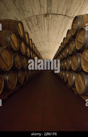 Besuch der Bodegas Muga in Haro, La Rja Stockfoto