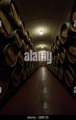 Besuch der Bodegas Muga in Haro, La Rja Stockfoto