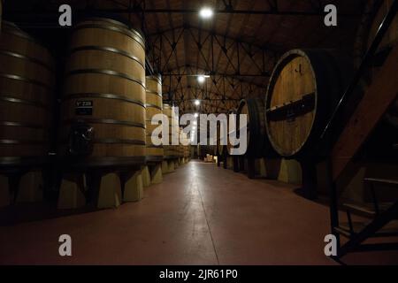 Besuch der Bodegas Muga in Haro, La Rja Stockfoto