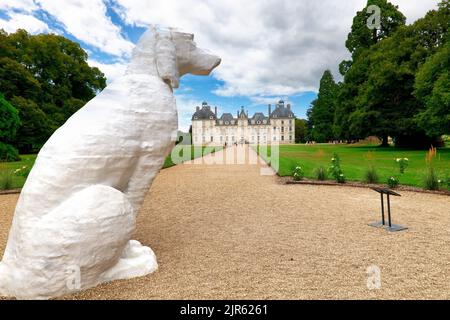 Chateau de Cheverny Frankreich. Schlösser des Loire-Tals. Le chien de Cheverny von Michel Audiard Stockfoto