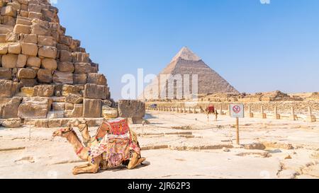 Ein Blick auf die Pyramiden von Gizeh, Ägypten Stockfoto