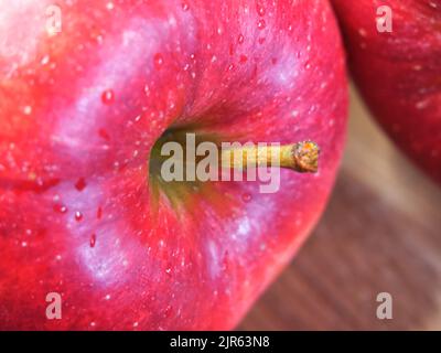 Großer reifer roter Apfel, Nahaufnahme. Wassertropfen auf einer Apfelschale. Stockfoto