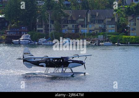 FRIDAY HARBOUR, WA -1 OCT 2021- Ansicht eines Kenmore Air-Wasserflugzeugs, das als Orca auf dem Wasser gemalt wurde, im Hafen von Friday Harbor, San Juan Islands, Washi Stockfoto