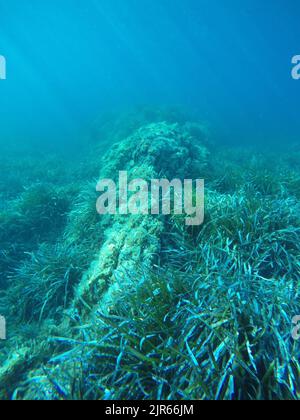 Unterwasserlandschaft des Mittelmeers Stockfoto