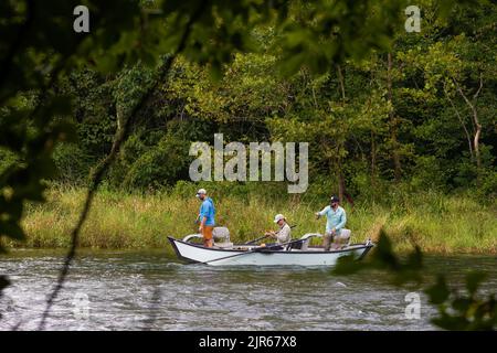 Bristol, Tennessee, USA - Autust 16, 2022: Drei Männer fischen von einem verankerten Boot auf dem South Holston River in der Nähe von Bristol, Tennessee Stockfoto