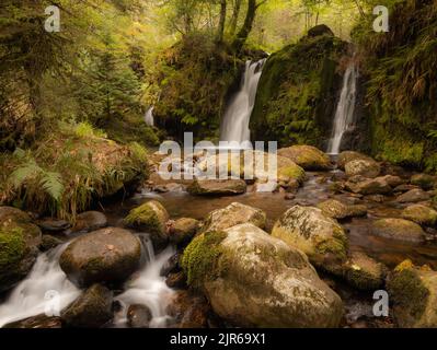 Eine Langzeitaufnahme des Powerscourt Wasserfalls auf moosigen Felsen in Irland Stockfoto