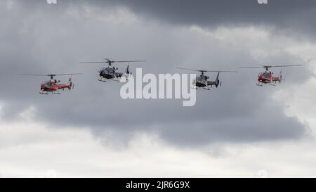 Gazelle Squadron 4-Ship Display Team, in der Luft auf der Fly Navy Airshow in Shuttleworth am 3.. Juli 2022 Stockfoto