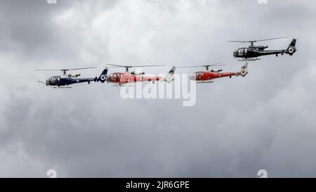 Gazelle Squadron 4-Ship Display Team, in der Luft auf der Fly Navy Airshow in Shuttleworth am 3.. Juli 2022 Stockfoto