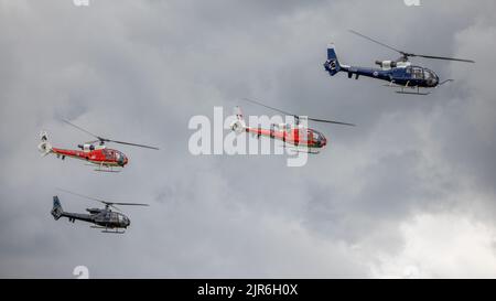 Gazelle Squadron 4-Ship Display Team, in der Luft auf der Fly Navy Airshow in Shuttleworth am 3.. Juli 2022 Stockfoto