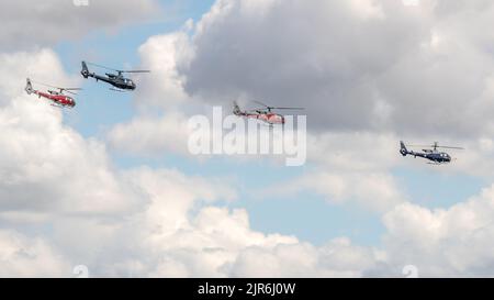 Gazelle Squadron 4-Ship Display Team, in der Luft auf der Fly Navy Airshow in Shuttleworth am 3.. Juli 2022 Stockfoto