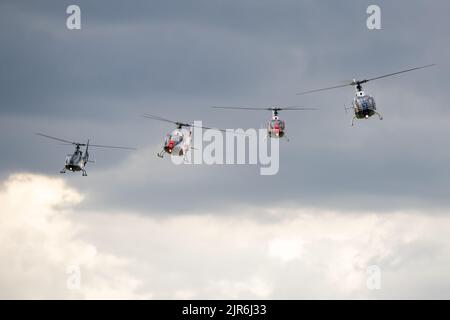 Gazelle Squadron 4-Ship Display Team, in der Luft auf der Fly Navy Airshow in Shuttleworth am 3.. Juli 2022 Stockfoto