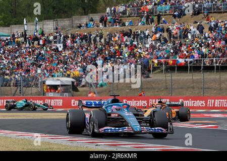 Mogyorod, Ungarn. Juli 31. 2022. Formel 1 großer Preis von Ungarn in Hungaroring, Ungarn. Im Bild: #14 Fernando Alonso (SPA) von Alpine während des Rennens Stockfoto