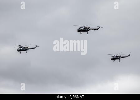 Historische Sammlung von Westland Wasp-Hubschraubern, die auf der Fly Navy Airshow in Shuttleworth am 3.. Juli 2022 in Luft geflogen wurden Stockfoto