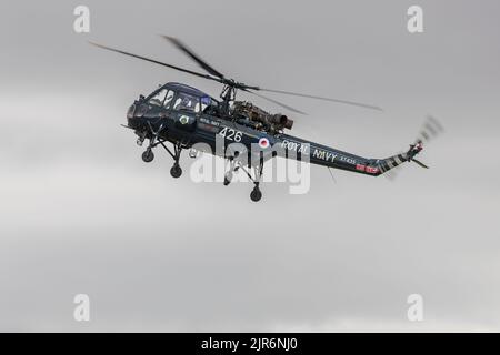 Westland Wasp HAT Mk 1 ‘XT435’ auf der Fly Navy Airshow in Shuttleworth am 3.. Juli 2022 in der Luft Stockfoto