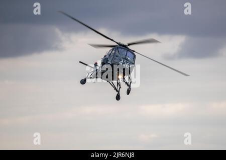 Westland Wasp HAT Mk 1 ‘XT435’ auf der Fly Navy Airshow in Shuttleworth am 3.. Juli 2022 in der Luft Stockfoto