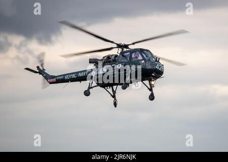 Westland Wasp HAT Mk 1 ‘XT435’ auf der Fly Navy Airshow in Shuttleworth am 3.. Juli 2022 in der Luft Stockfoto