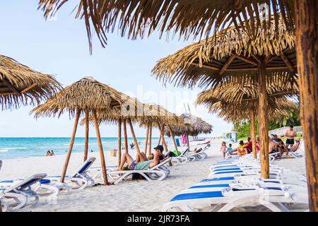 Zwei Reihen von Liegestühlen und Strohschirmen, Varadero Beach, Kuba. Stockfoto