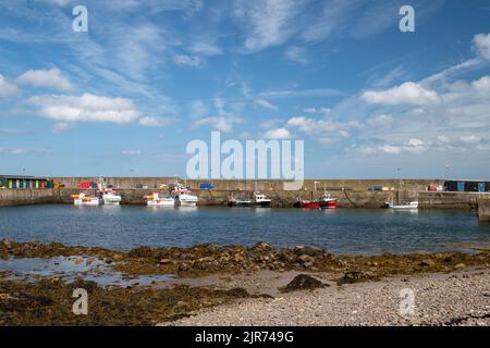 Boote im Hafen von Burnmouth in den Scottish Borders, Großbritannien Stockfoto