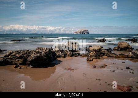 Bass Rock vom Seacliff Beach in der Nähe von North Berwick, East Lothian, Schottland Stockfoto