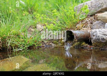 Kristallklares Wasser, das aus einem Metallrohr in den Bergen strömt Stockfoto