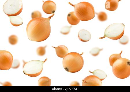 Fallende Zwiebel, isoliert auf weißem Hintergrund, selektiver Fokus Stockfoto