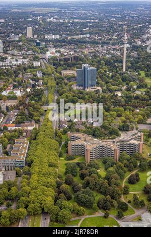 Luftaufnahme, begrünter Rheinlanddamm mit Signal Iduna Zentrale, Westnetz GmbH Gebäude und Florianturm im Stadtteil Westfalenhalle in Dortmund Stockfoto