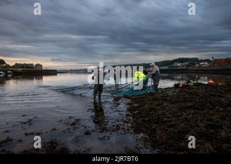 Traditionelle Lachsfischerei auf dem River Tweed in Gardo Fishery, Berwick upon Tweed, Northumberland, England, Großbritannien Stockfoto