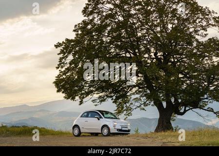 Weißes Auto, das am Straßenrand mit grünem Gras unter einem riesigen Baum mit saftig grünen Blättern bei Sonnenuntergang geparkt ist Stockfoto