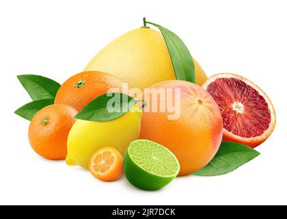 Zitrusmischung, Pomelo, Zitrone, Orange, Limette, Grapefruit, Kumquat, Mandarine, isoliert auf weißem Hintergrund, Schnittpfad, volle Schärfentiefe Stockfoto