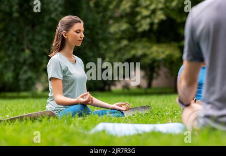 Eine Gruppe von Menschen, die im Sommerpark Yoga machen Stockfoto