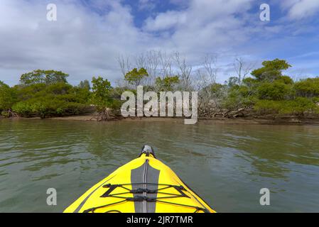First-Person-Blick vom gelben Kajak auf einem ruhigen Fluss mit üppigem Grün und klarem Himmel Graham Creek Curtis Island Queensland Australien Stockfoto