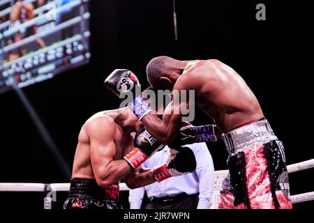 Profi-Boxer WBA interim superleichte Alberto Puello besiegt im Profi-Boxkampf den superleichten WBA Batyr Akhmedov Stockfoto