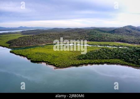 Luftaufnahme von Mangroven am Ufer des Graham Creek auf Curtis Island Queensland Australia Stockfoto