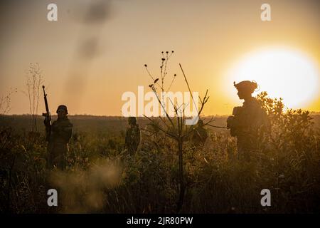 Ein US Navy Corpsman mit der India Company, 3. Bataillon, 1. Marine Regiment, 1. Marine Division, beobachtet eine Nachtserie, die von brasilianischen Marineinfanteristen während der Übung Formosa in Goias, Brasilien, am 4. August 2022 durchgeführt wurde. Während dieses Trainings tauschten US-Marineinfanteristen Kenntnisse und Taktiken mit brasilianischen Marineinfanteristen aus, um die Einsatzbereitschaft weiter zu verbessern. Übung Formosa konzentrierte sich auf die Stärkung der Beziehungen und Interoperabilität zwischen den US-amerikanischen und brasilianischen Truppen und vermittelt das dauerhafte Versprechen, ein vertrauenswürdiger Nachbar zu sein. (USA Marine Corps Foto von CPL. Jacob Yost) Stockfoto