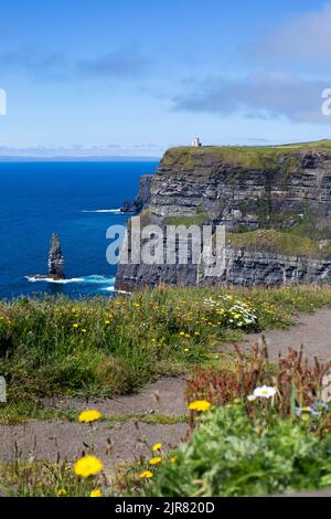 Cliffs of Moher mit Branaunmore Sea Stack, Irland Stockfoto