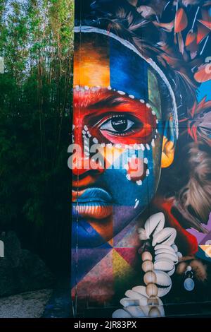 Ein Porträt eines Mädchens auf den Wynwood Walls Miami künstlerische kreative Graffiti Stockfoto