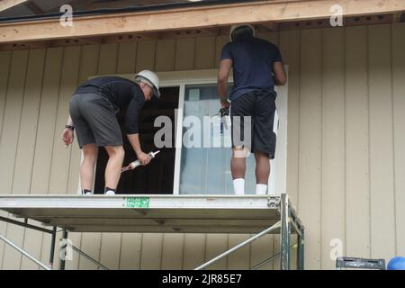 Zwei männliche Arbeiter installieren ein Fenster Stockfoto