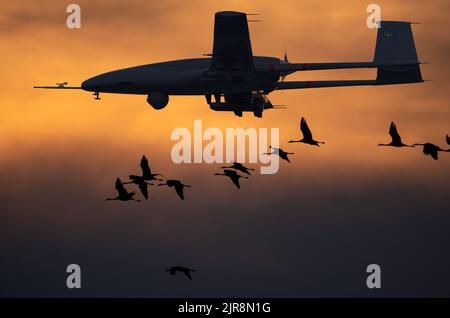 Bayraktar TB-2 Kampfdrohne der ukrainischen Armee, die zusammen mit einem Schlüssel von Kränen fliegt Stockfoto