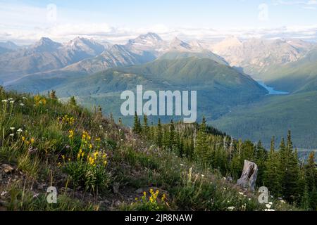 Atemberaubende Aussicht auf die alpine Wiese des Glacier National Park vom Gipfel des Ousel Peak in der Nähe des West Glacier, mit Blick auf den Harrison Lake und das Flusstal. Stockfoto