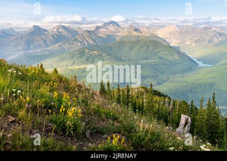 Atemberaubende Aussicht auf die alpine Wiese des Glacier National Park vom Gipfel des Ousel Peak in der Nähe des West Glacier, mit Blick auf den Harrison Lake und das Flusstal. Stockfoto