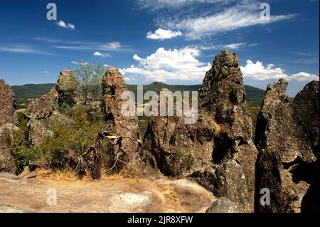 An einem sonnigen Tag ist dieses Gewirr aus Lavagesteinen ziemlich attraktiv, aber im Nebel geben sie Hanging Rock die geheimnisvolle Luft, die Joan Lindsay in ihrem Buch verwendet. Stockfoto